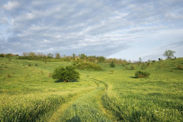 Comment organiser une visite des villages traditionnels au Japon?