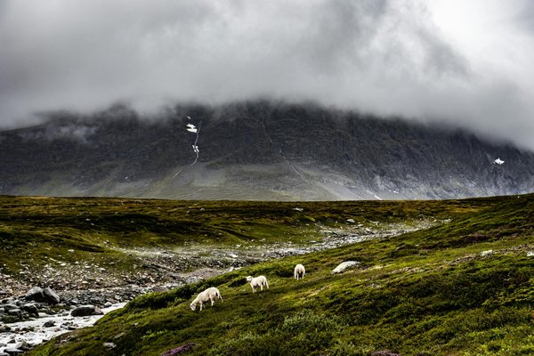 Où apprendre à cuisiner des plats traditionnels indiens en immersion?