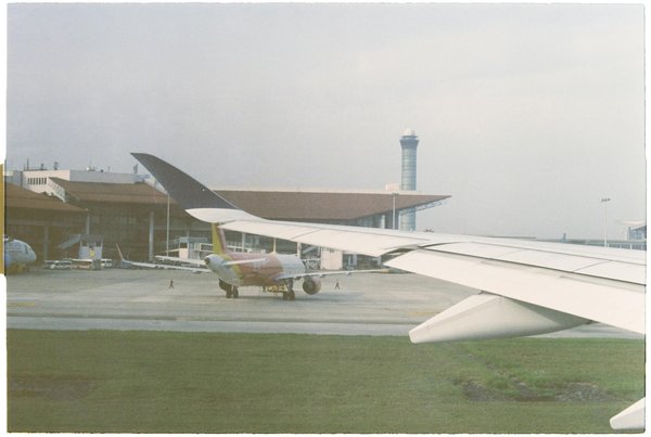 Quels sont les meilleurs spots pour la plongée avec les dauphins aux Açores, Portugal?