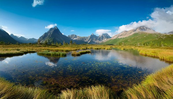 Où trouver les meilleures plages pour le surf en Nouvelle-Zélande?