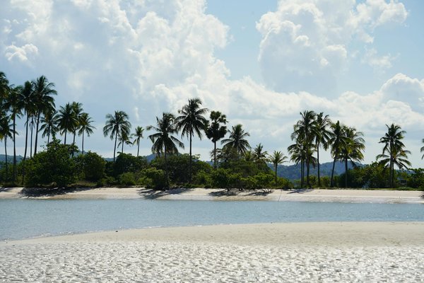 Quels sont les meilleurs conseils pour une randonnée dans les montagnes du Massif Central, France : équipements et itinéraires ?