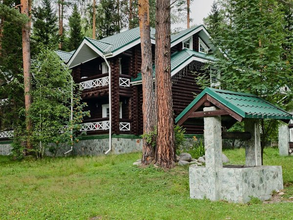 Quels sont les meilleurs spots pour observer les faucons pèlerins en Italie?